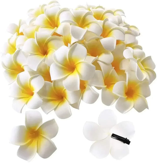 Hair Clips